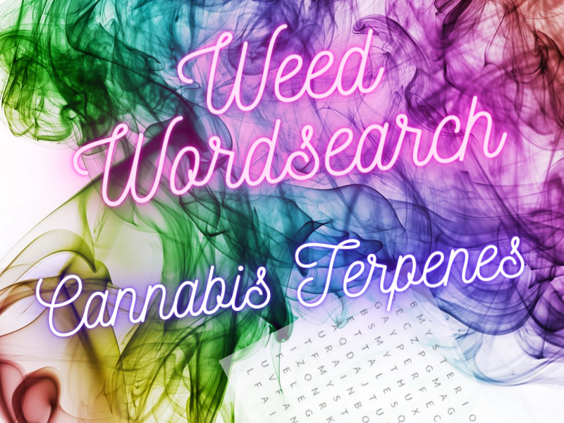 Weed Wordsearch – Cannabis Terpenes