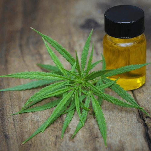 Benefits of Cannabis Coconut Oil