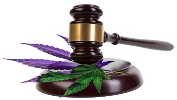 New Mexico: Supreme Court Rules Against Imposition of Certain Excise Taxes on Medical Cannabis Products