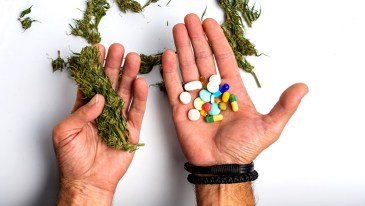 Survey: Nearly Half of Authorized Medical Cannabis Patients Report Substituting Marijuana for Other Substances, Particularly Opioids and Alcohol