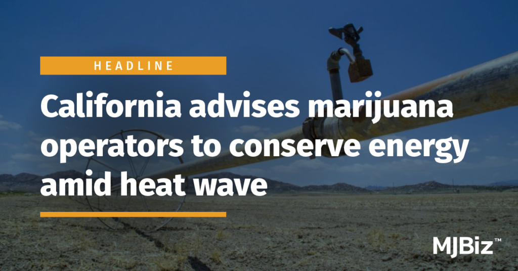 California advises marijuana operators to conserve energy amid heat wave