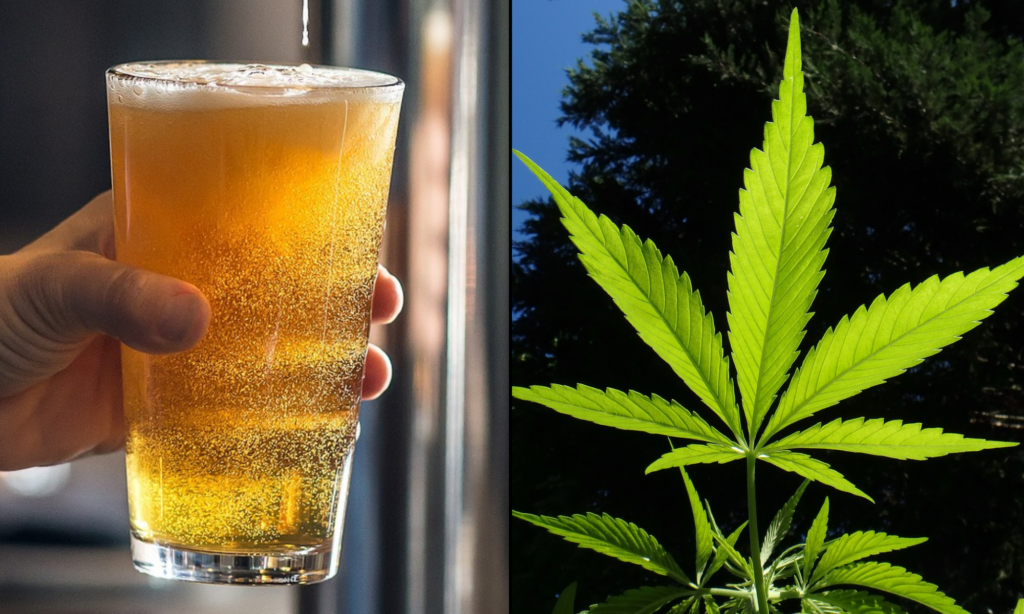 Three In Five Americans Say Marijuana Is Safer Than Alcohol Or Tobacco, Survey Finds