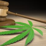 Marijuana company involved in Missouri’s huge recall loses final license appeal