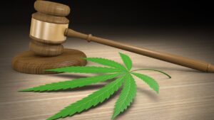 Marijuana company involved in Missouri’s huge recall loses final license appeal